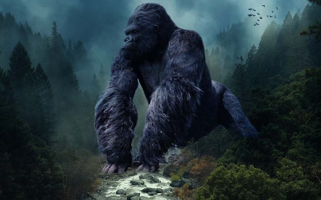 A curated showcase of bold design thinking and visual storytelling — from brand identities to digital masterpieces — where every pixel has a purpose.